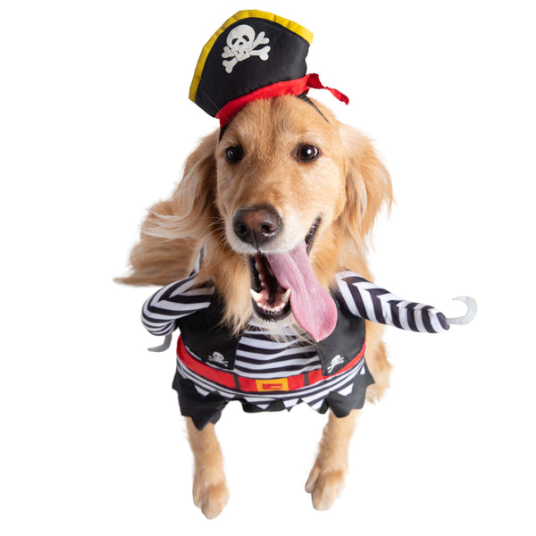 Pirate Dog Costume